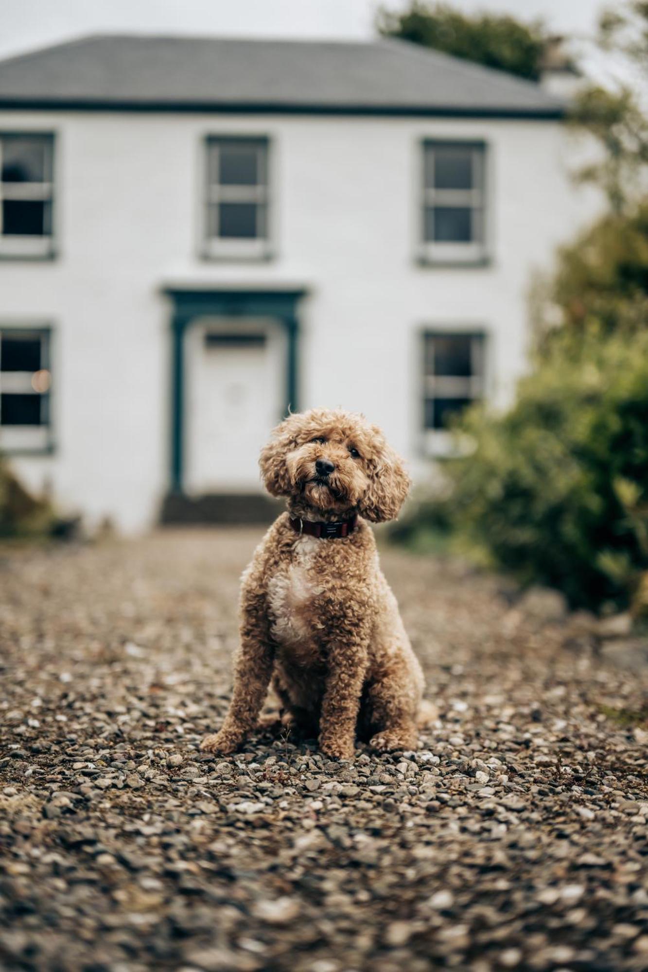 Rosebank House - 12 Guests, 6 Ensuite Bedrooms, Ev Point, Games Rooms, Wood Burner, Pet Friendly! Blairgowrie and Rattray Luaran gambar